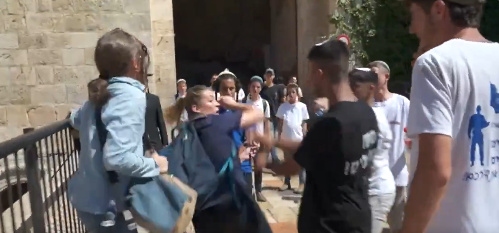 Calls for probe into attacks on female journalists during Jerusalem march